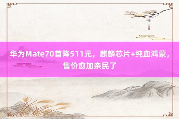 华为Mate70首降511元，麒麟芯片+纯血鸿蒙，售价愈加亲民了