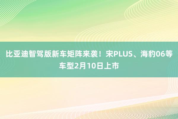 比亚迪智驾版新车矩阵来袭！宋PLUS、海豹06等车型2月10日上市